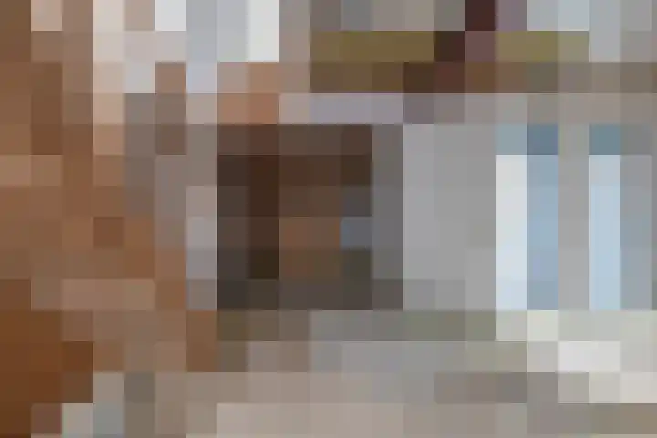 Luchtenstein 13 a de Wijk thumbnail 10