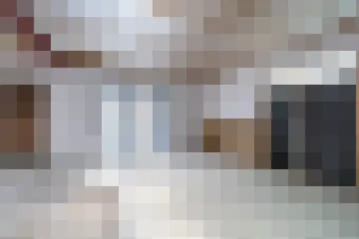 Luchtenstein 13 a de Wijk thumbnail 11