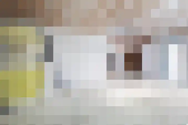 Luchtenstein 13 a de Wijk thumbnail 12