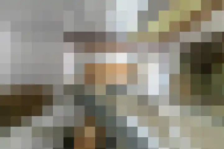Luchtenstein 13 a de Wijk thumbnail 16