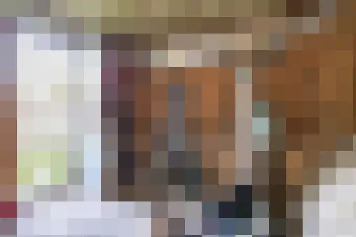 Luchtenstein 13 a de Wijk thumbnail 17