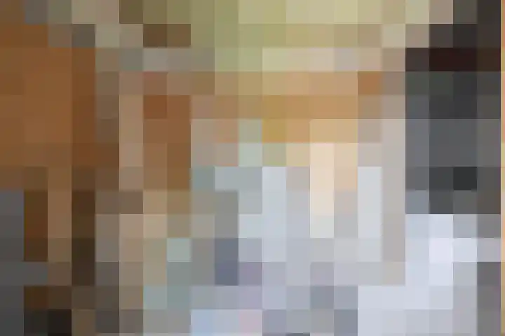 Luchtenstein 13 a de Wijk thumbnail 18