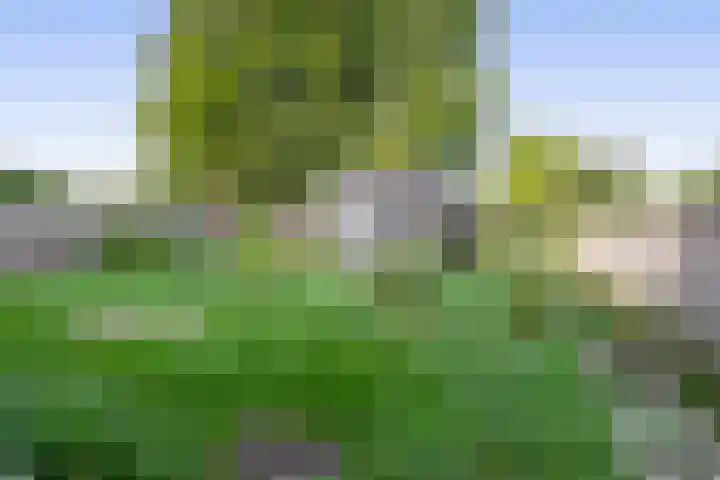 Luchtenstein 13 a de Wijk thumbnail 19