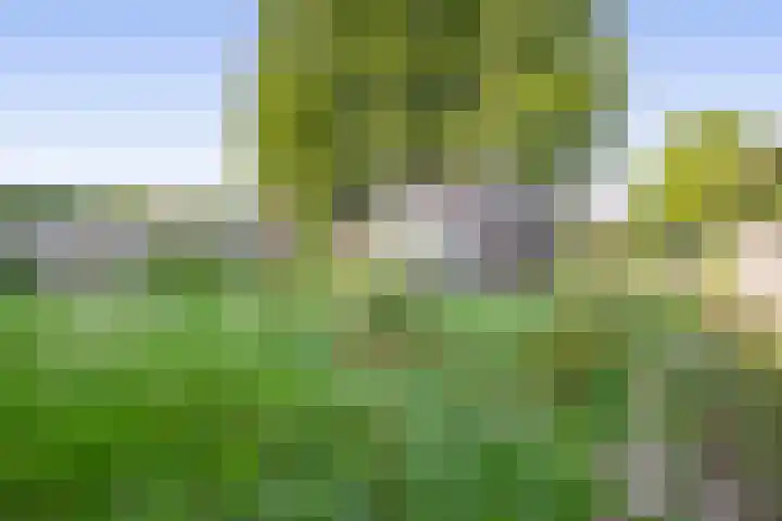 Luchtenstein 13 a de Wijk thumbnail 20
