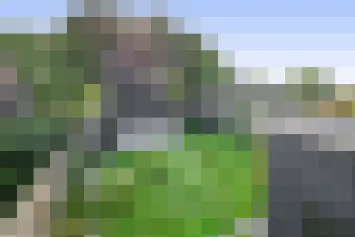 Luchtenstein 13 a de Wijk thumbnail 21