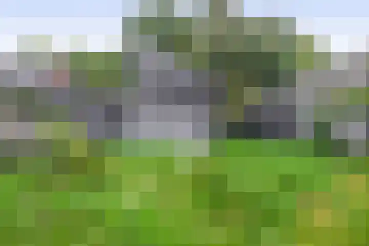 Luchtenstein 13 a de Wijk thumbnail 22