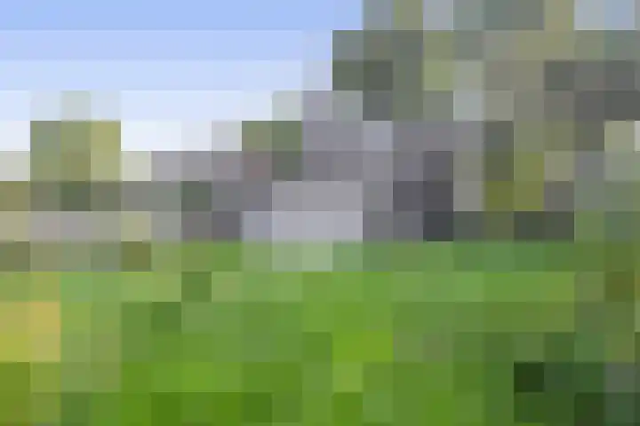 Luchtenstein 13 a de Wijk thumbnail 23