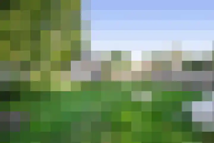 Luchtenstein 13 a de Wijk thumbnail 24