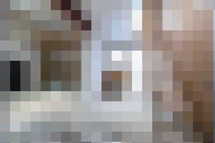 Luchtenstein 13 a de Wijk thumbnail 25