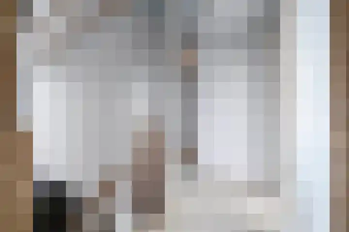 Luchtenstein 13 a de Wijk thumbnail 26