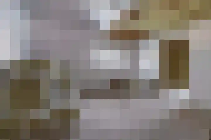 Luchtenstein 13 a de Wijk thumbnail 28