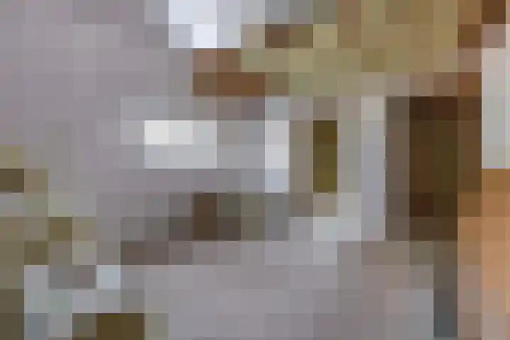 Luchtenstein 13 a de Wijk thumbnail 29