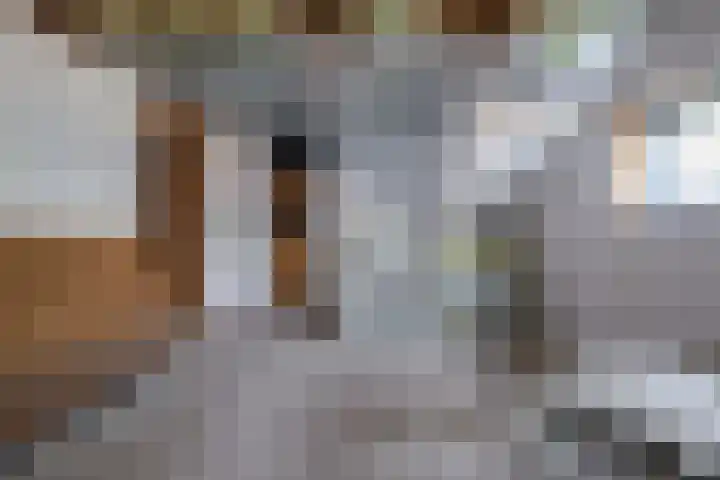 Luchtenstein 13 a de Wijk thumbnail 30