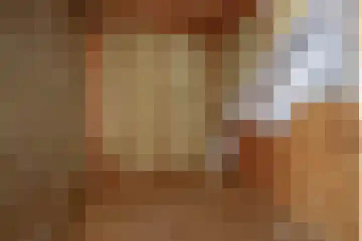 Luchtenstein 13 a de Wijk thumbnail 33