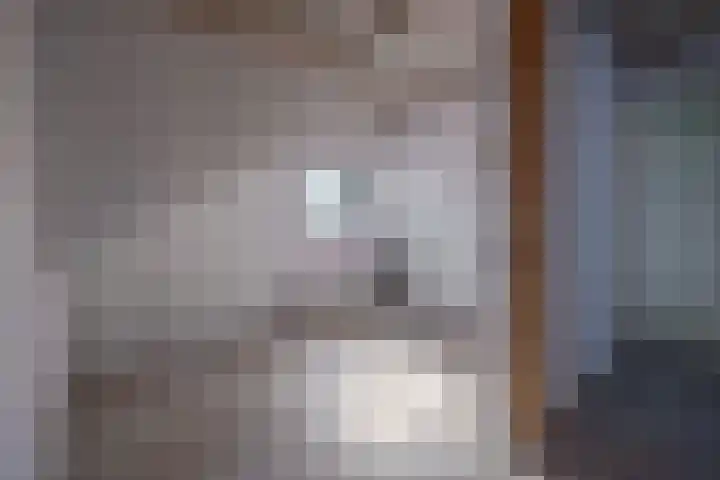 Luchtenstein 13 a de Wijk thumbnail 35