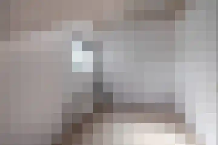 Luchtenstein 13 a de Wijk thumbnail 36
