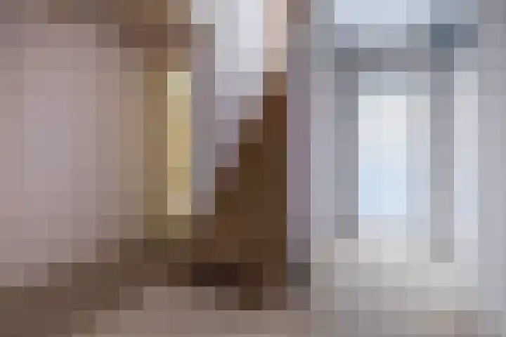 Luchtenstein 13 a de Wijk thumbnail 39