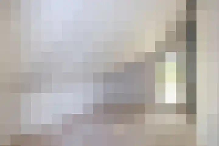 Luchtenstein 13 a de Wijk thumbnail 40