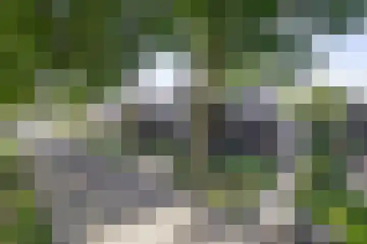 Luchtenstein 13 a de Wijk thumbnail 41
