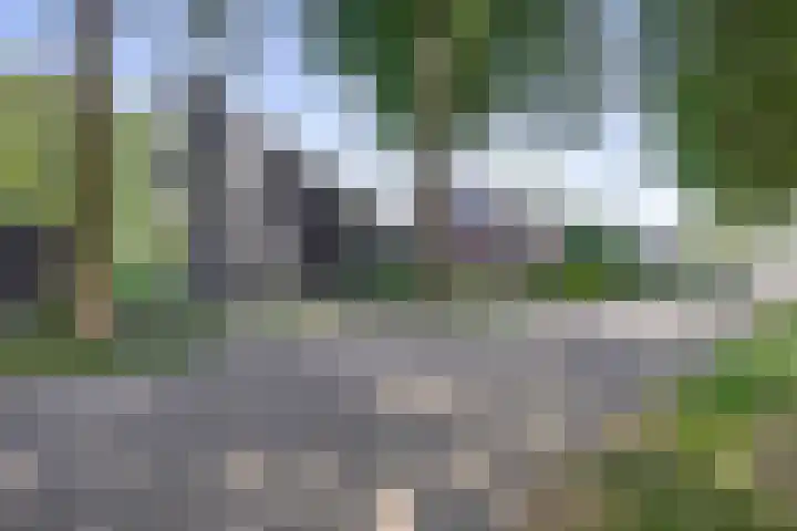 Luchtenstein 13 a de Wijk thumbnail 42