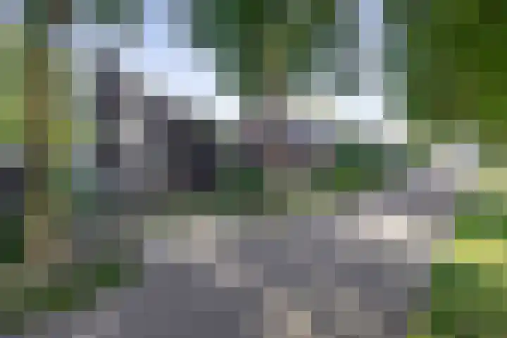 Luchtenstein 13 a de Wijk thumbnail 43