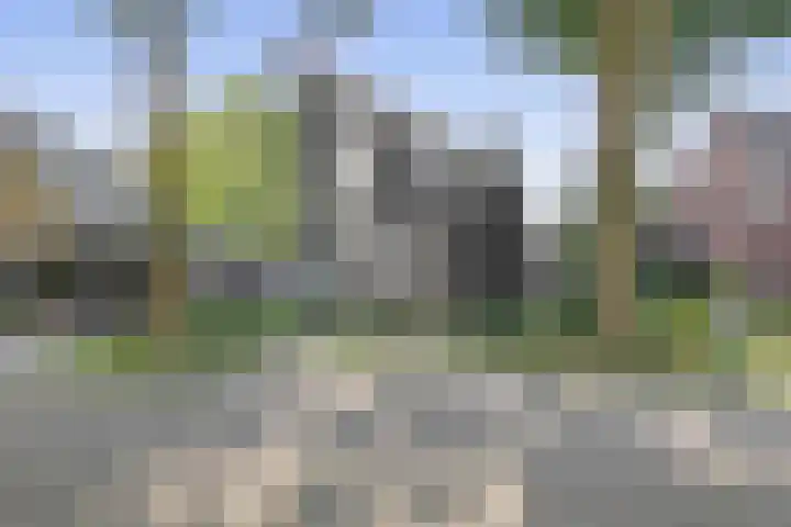 Luchtenstein 13 a de Wijk thumbnail 44