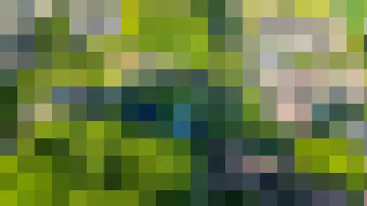 Luchtenstein 13 a de Wijk thumbnail 46