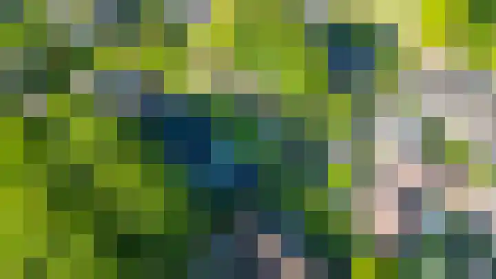 Luchtenstein 13 a de Wijk thumbnail 47