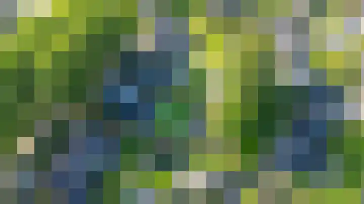 Luchtenstein 13 a de Wijk thumbnail 49