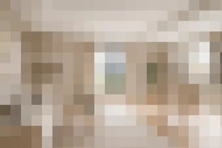 Luchtenstein 13 a de Wijk thumbnail 5