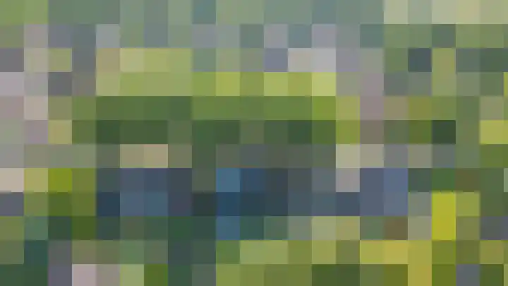 Luchtenstein 13 a de Wijk thumbnail 50