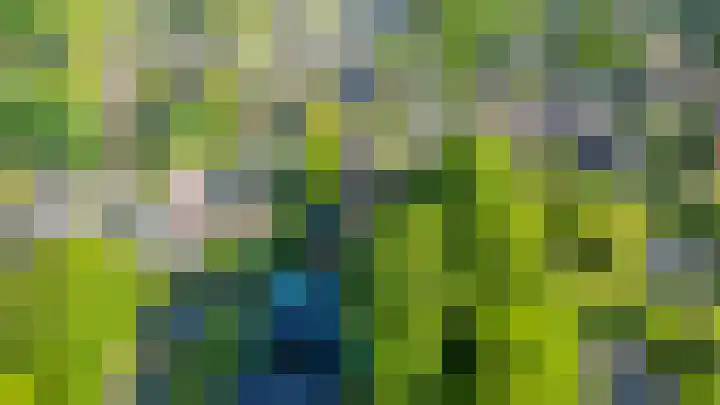 Luchtenstein 13 a de Wijk thumbnail 53