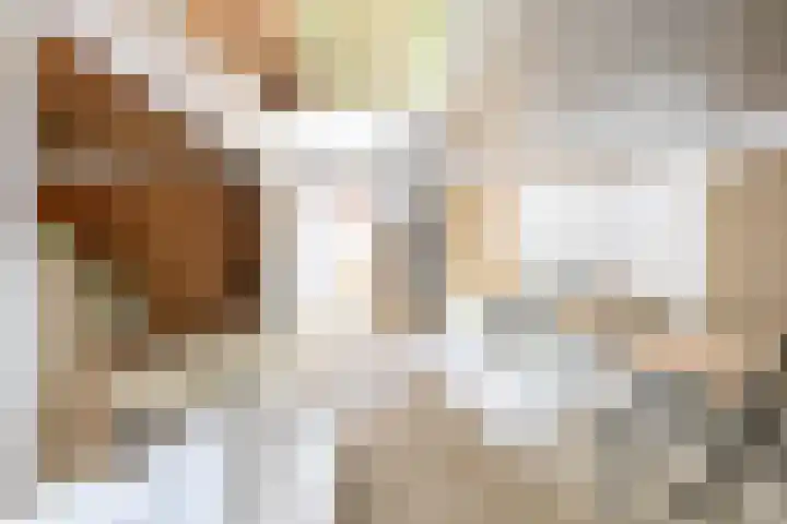 Luchtenstein 13 a de Wijk thumbnail 6