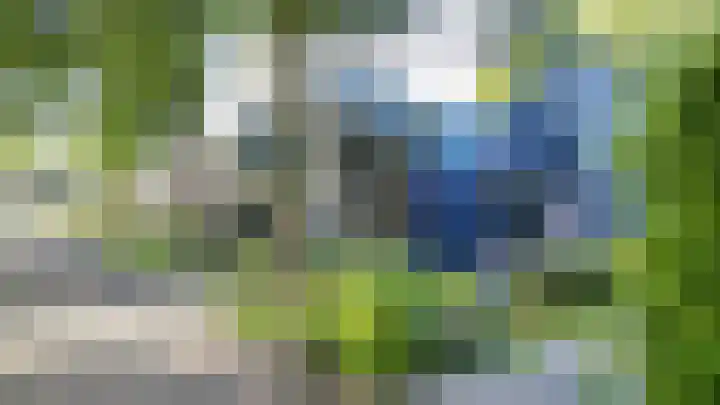 Luchtenstein 13 a de Wijk thumbnail 68
