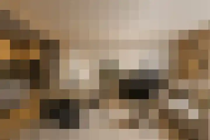 Luchtenstein 13 a de Wijk thumbnail 7