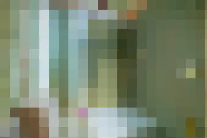 Luchtenstein 13 a de Wijk thumbnail 8