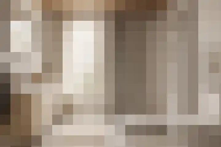 Luchtenstein 13 a de Wijk thumbnail 9