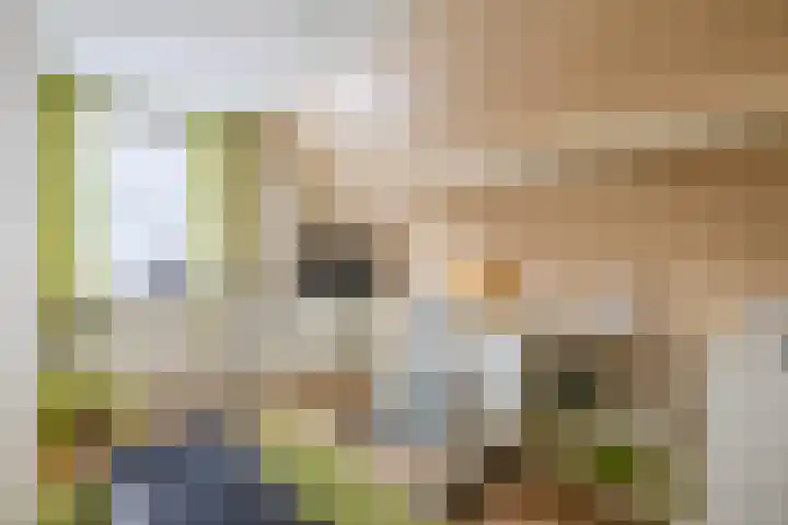 Luchtenstein 21 de Wijk thumbnail 16