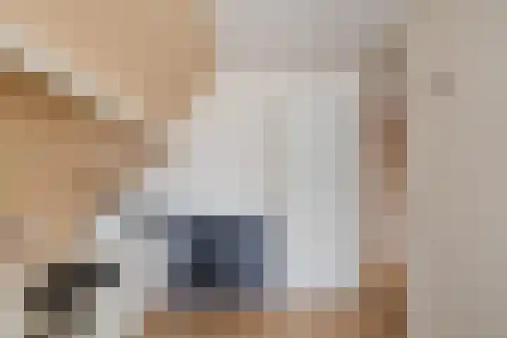 Luchtenstein 21 de Wijk thumbnail 17