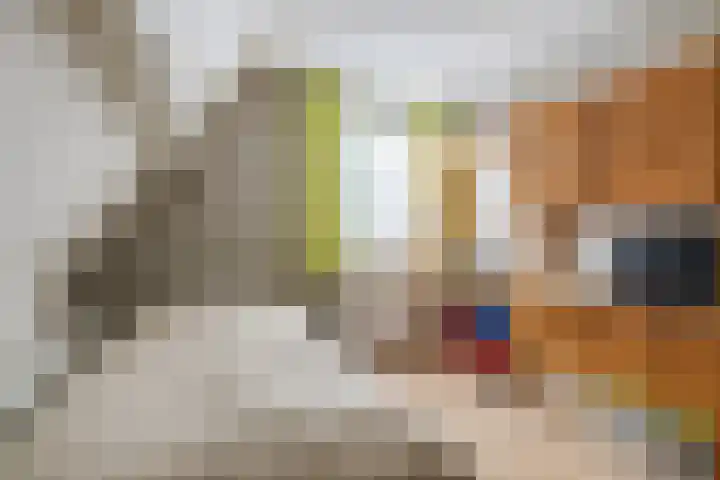 Luchtenstein 21 de Wijk thumbnail 18