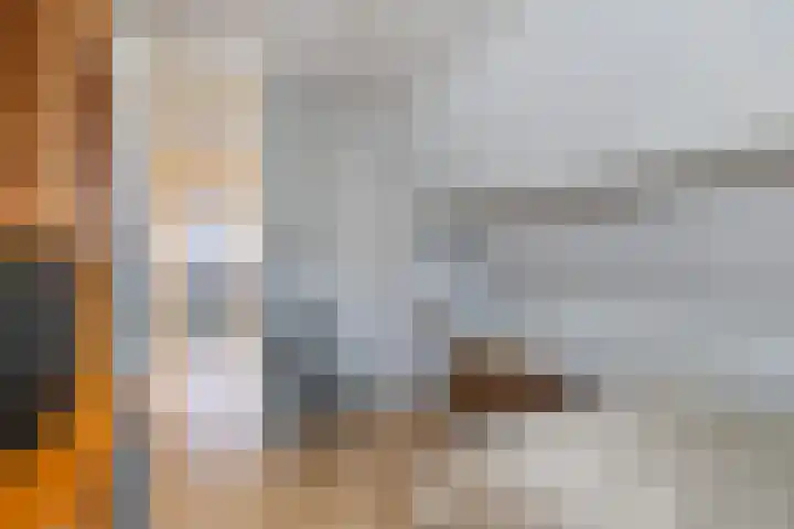 Luchtenstein 21 de Wijk thumbnail 19