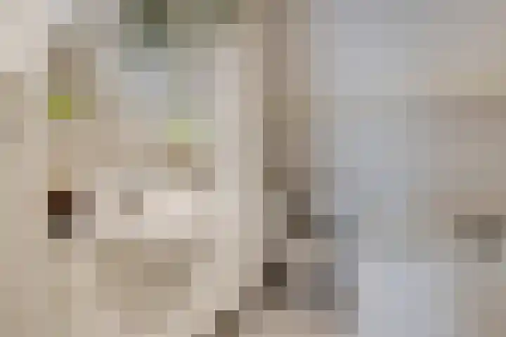 Luchtenstein 21 de Wijk thumbnail 21
