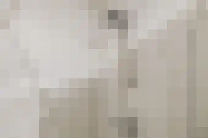 Luchtenstein 21 de Wijk thumbnail 22