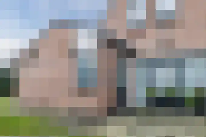 Luchtenstein 21 de Wijk thumbnail 26
