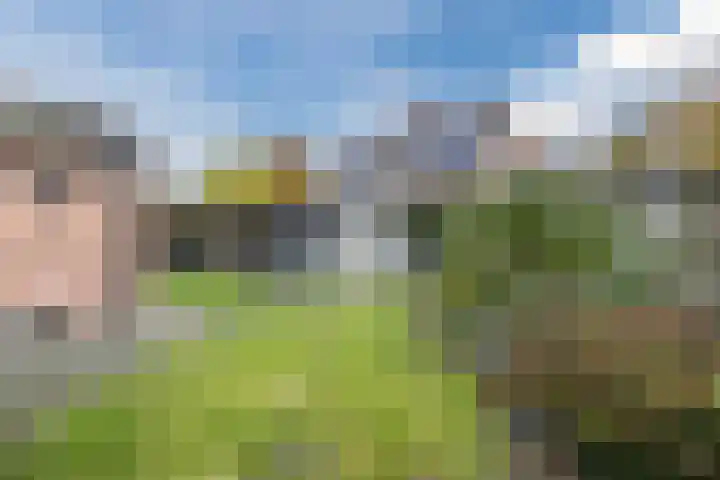 Luchtenstein 21 de Wijk thumbnail 28