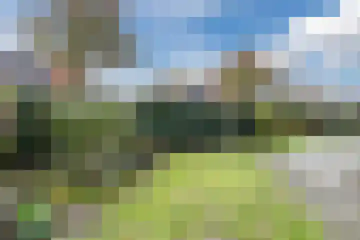 Luchtenstein 21 de Wijk thumbnail 29