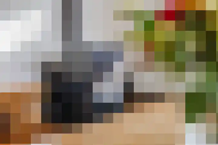 Luchtenstein 21 de Wijk thumbnail 4