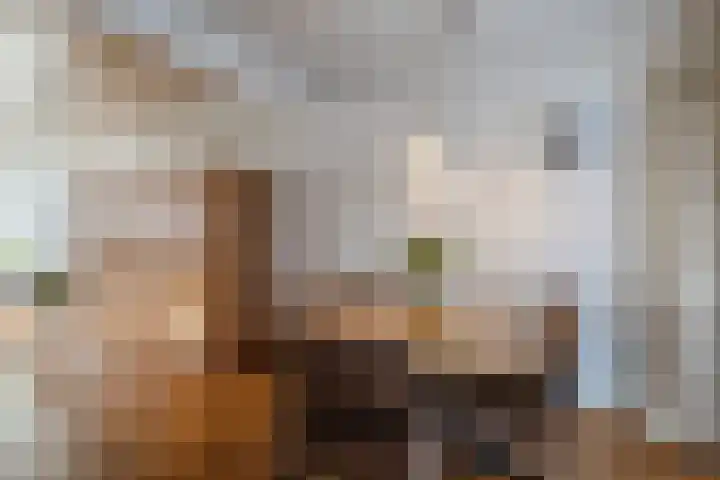 Luchtenstein 21 de Wijk thumbnail 7