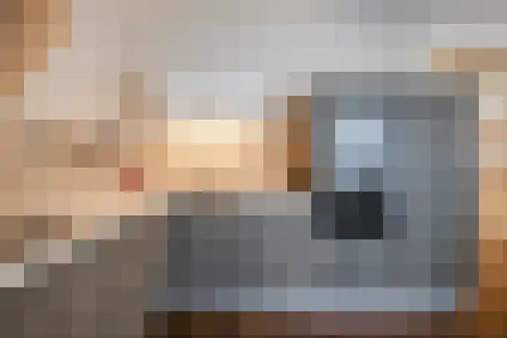 Luchtenstein 21 de Wijk thumbnail 9