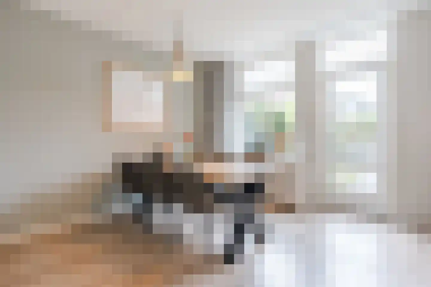 Luchtenstein 24 de Wijk thumbnail 10